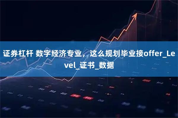 证券杠杆 数字经济专业，这么规划毕业接offer_Level_证书_数据
