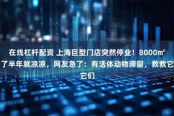 在线杠杆配资 上海巨型门店突然停业！8000㎡开了半年就凉凉，网友急了：有活体动物滞留，救救它们